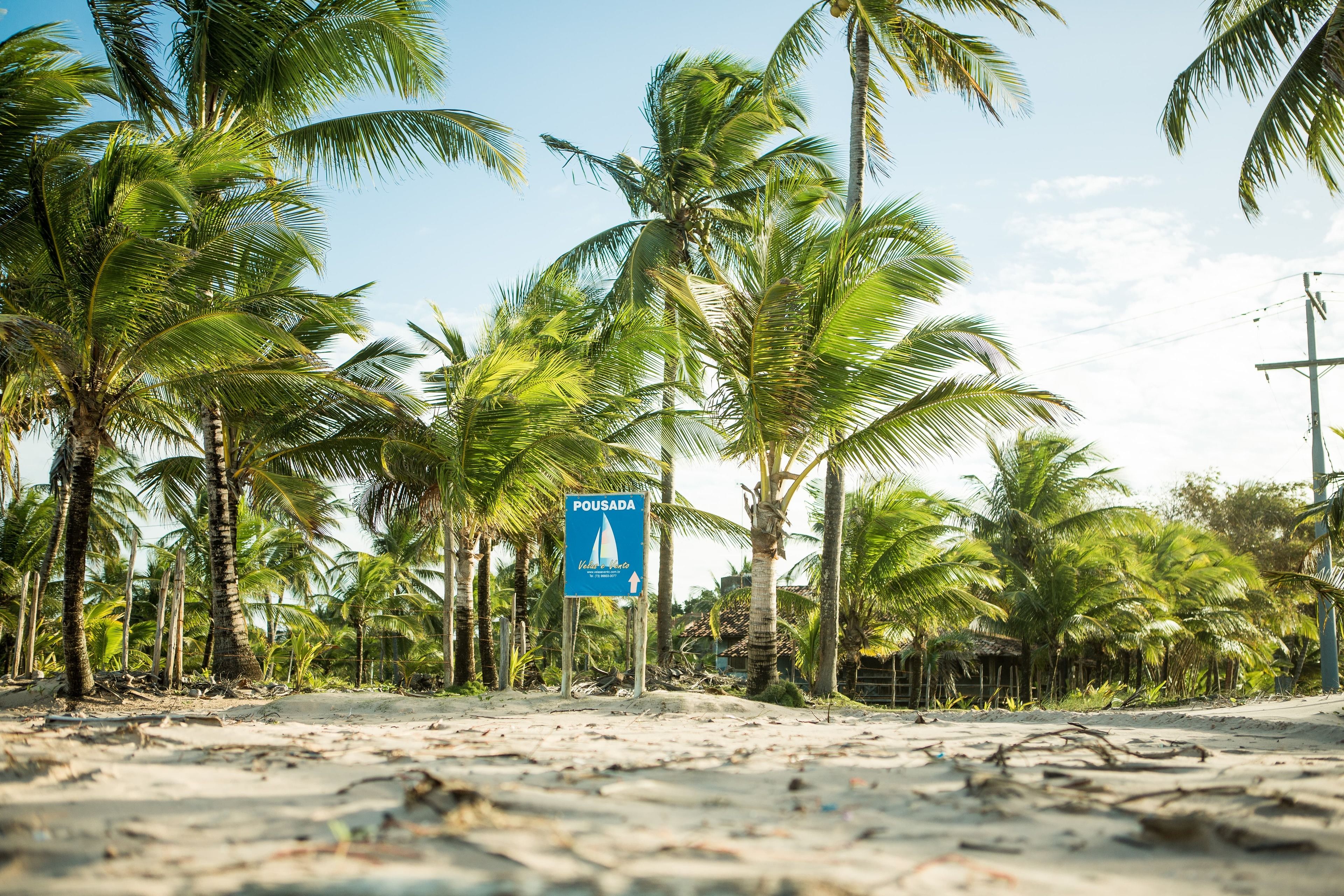 A beach with palm trees and a sign indicating 'Pousada' accommodation.