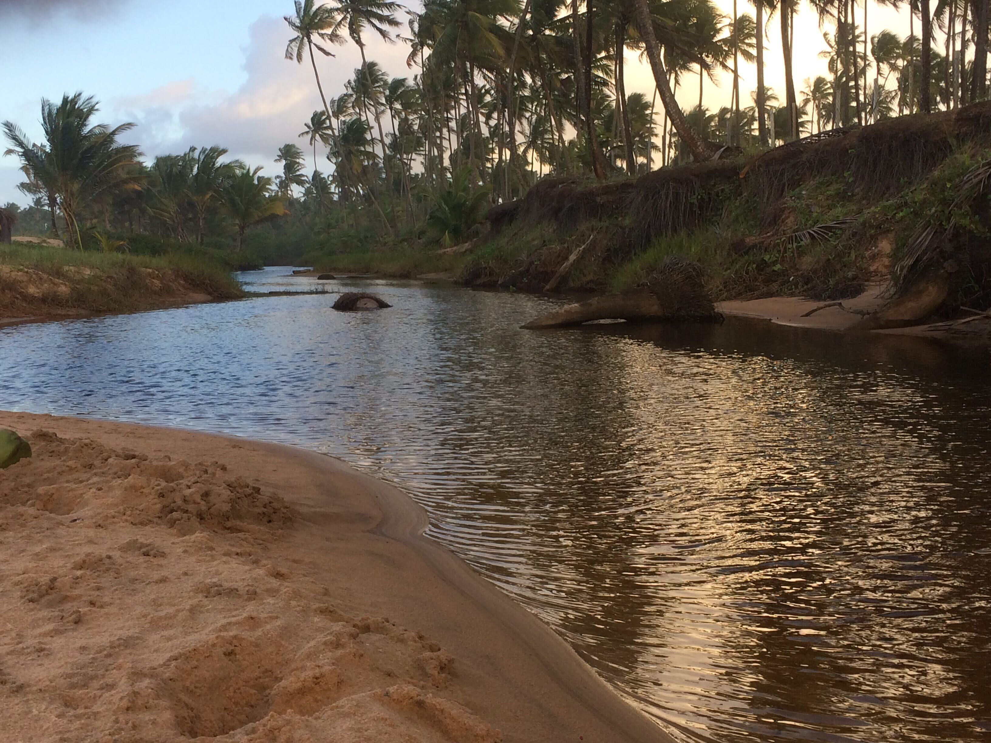 Un río con orillas de arena y palmeras al fondo.
