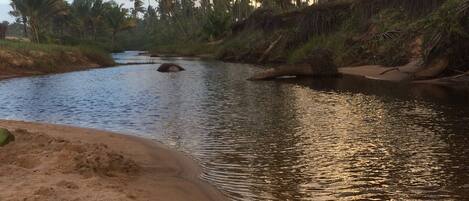 Un río con orillas de arena y palmeras al fondo.