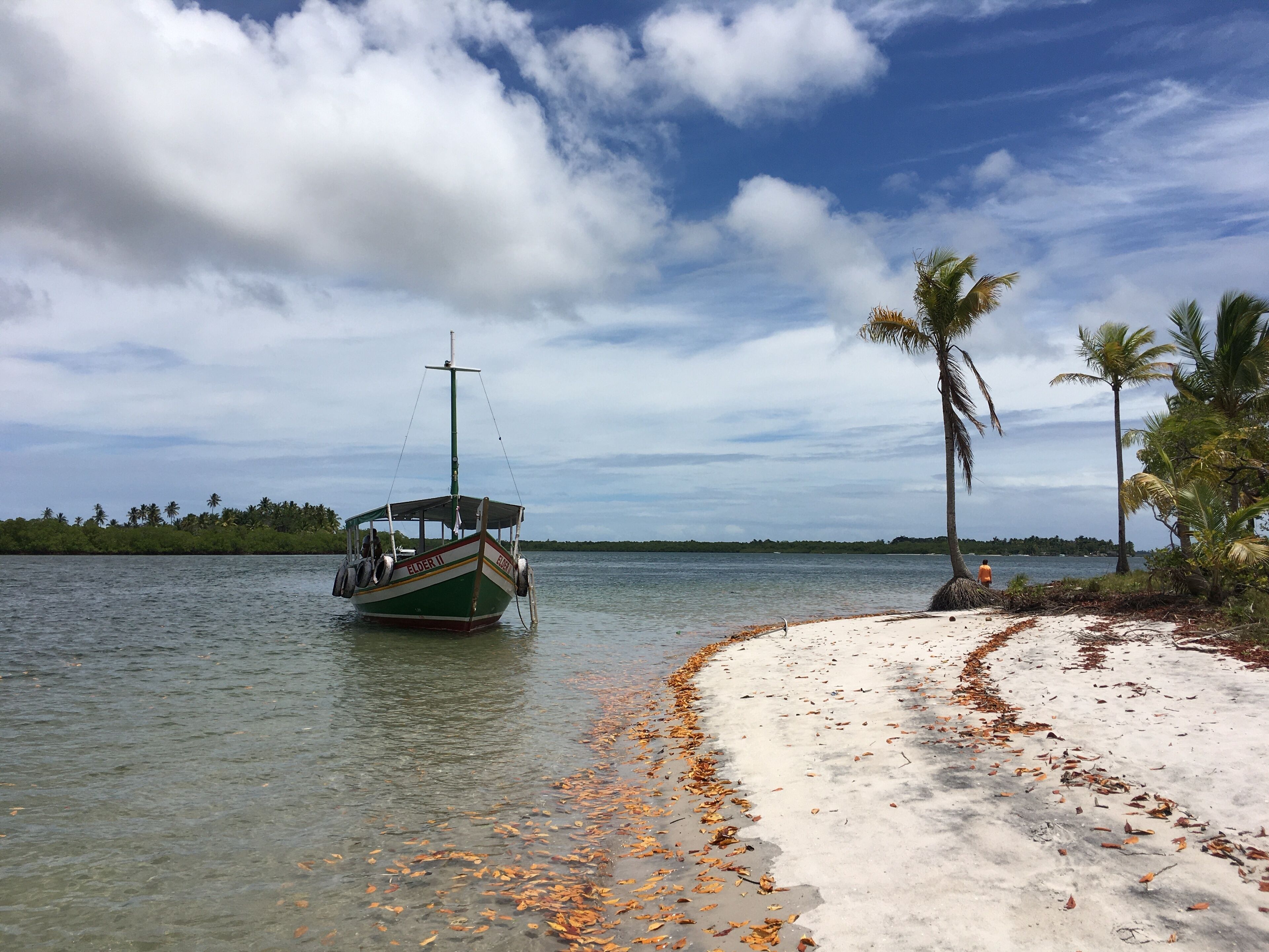 A boat named 'Elder II' on calm waters, a sandy beach with scattered leaves, and palm trees in the background.