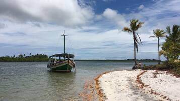 A boat named 'Elder II' on calm waters, a sandy beach with scattered leaves, and palm trees in the background.
