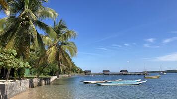 A calm waterfront with boats, palm trees, and a dock.