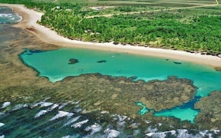 Vista aérea de una zona costera con playa de arena, vegetación verde y aguas turquesas cristalinas.