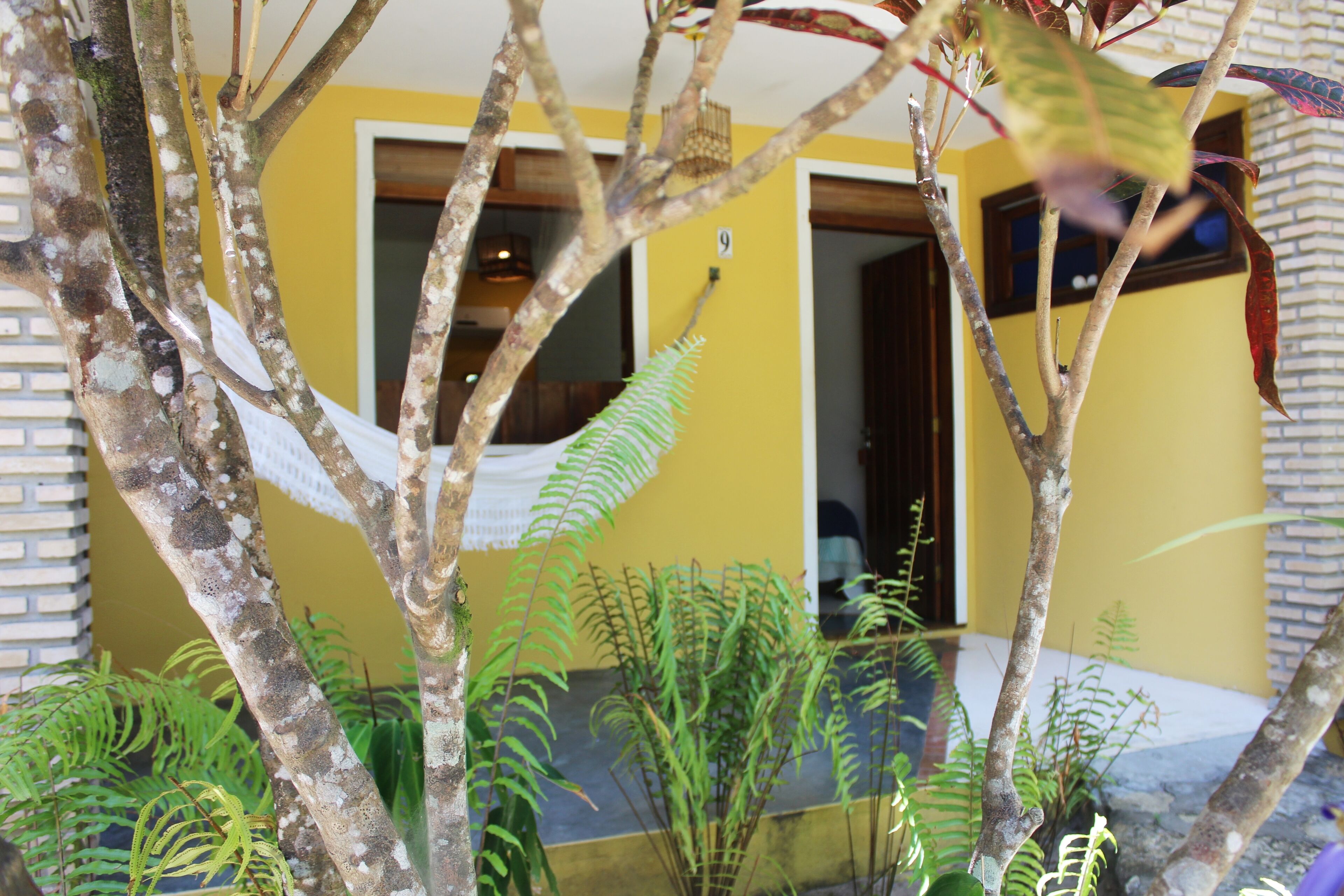 A yellow building with a door and windows, surrounded by trees and plants.