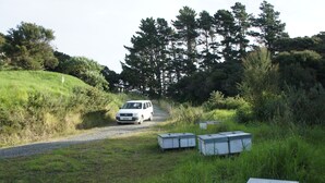 Property grounds - La Grange (Whangaroa)