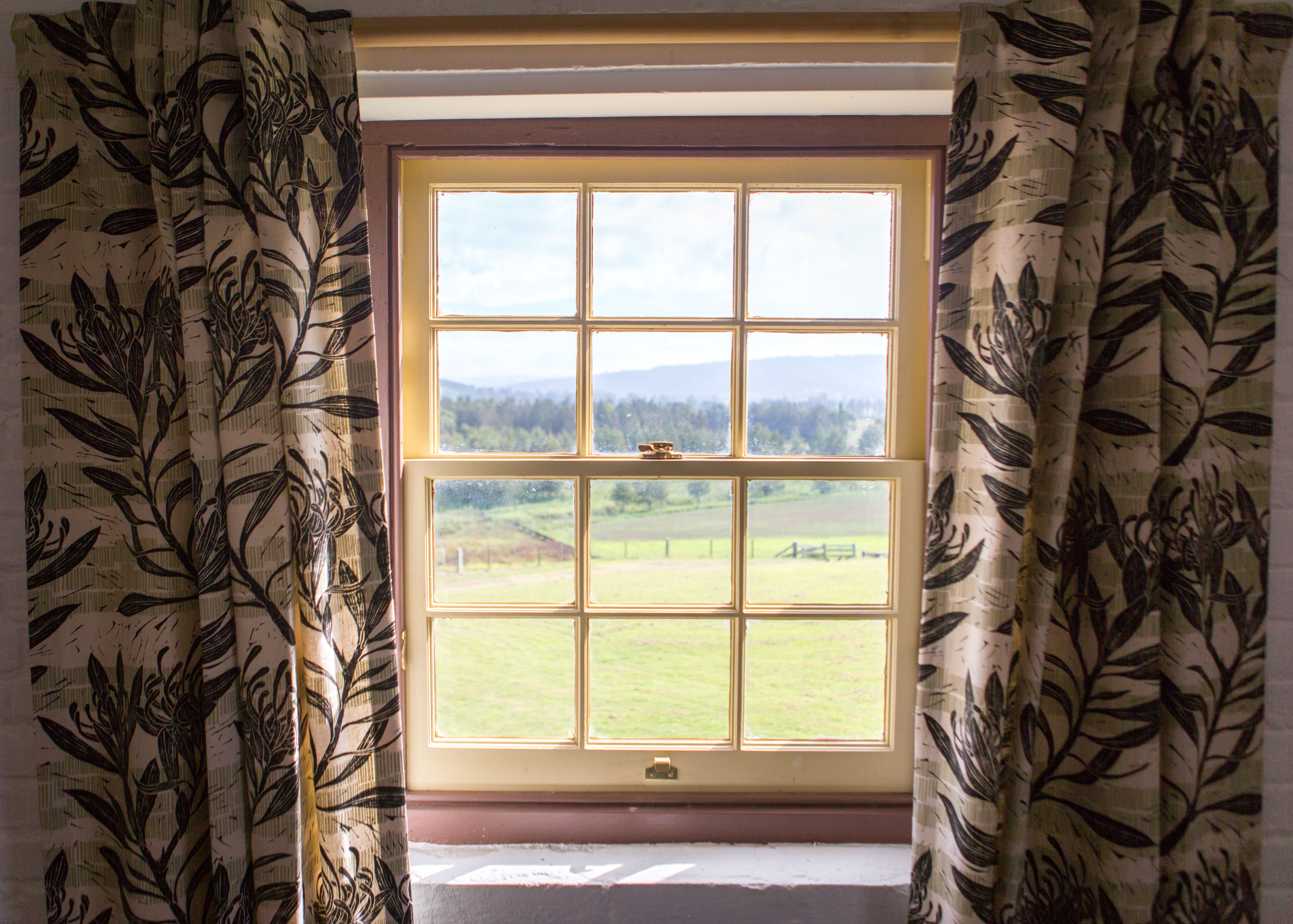 A window with a view of a green landscape, curtains with a leaf pattern, and a small brass handle.