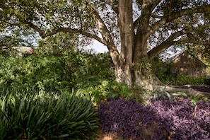 View from property - The Barracks Tocal (Tocal)