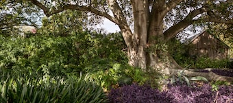 The Barracks Tocal