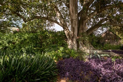 The Barracks Tocal