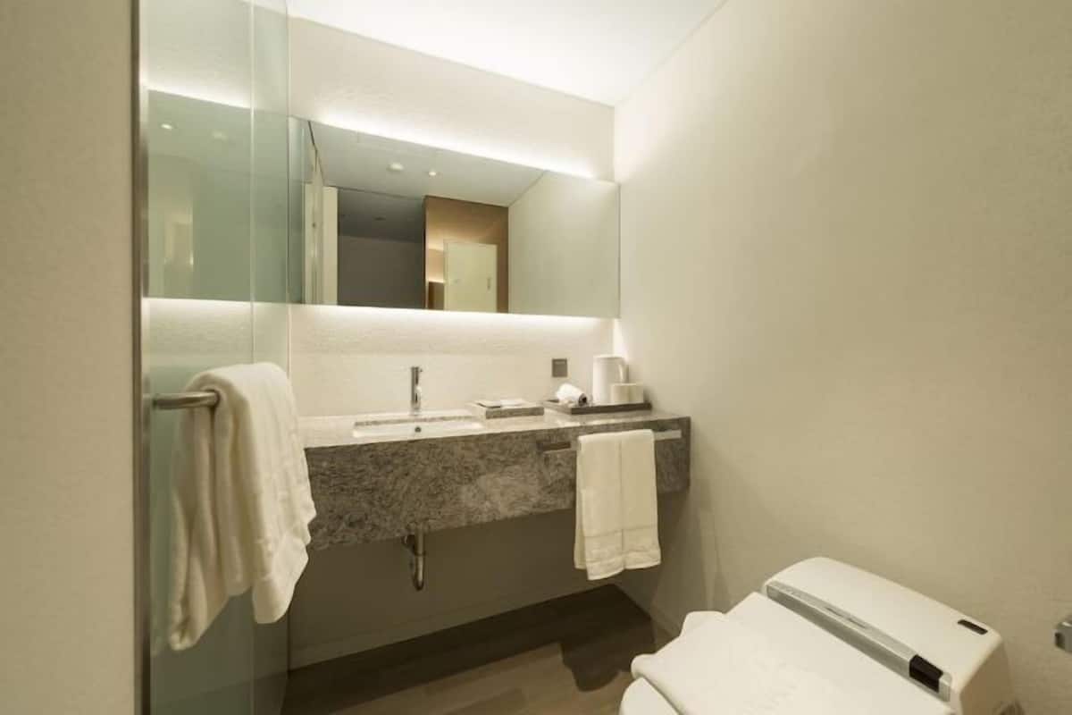 Bathroom | Hair dryer, bathrobes, slippers, bidet