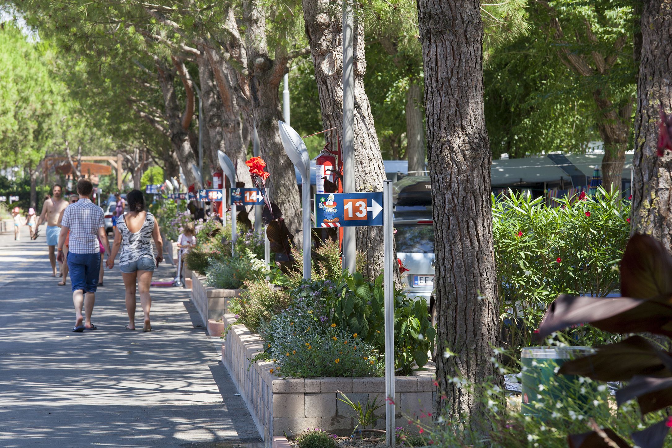 A tree-lined street with pedestrians and directional signs.