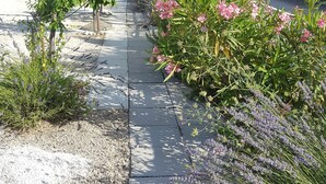 Un sendero en un jardín bordeado de plantas y flores, que lleva a un edificio con tejado de baldosas.