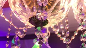 A chandelier with multiple clear crystal elements and a green leaf ornament. - Fukun 3 Motel (Yilan)