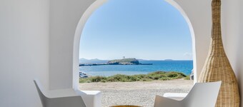 Cyano Suites
