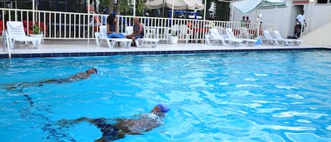 Outdoor pool, pool umbrellas, pool loungers