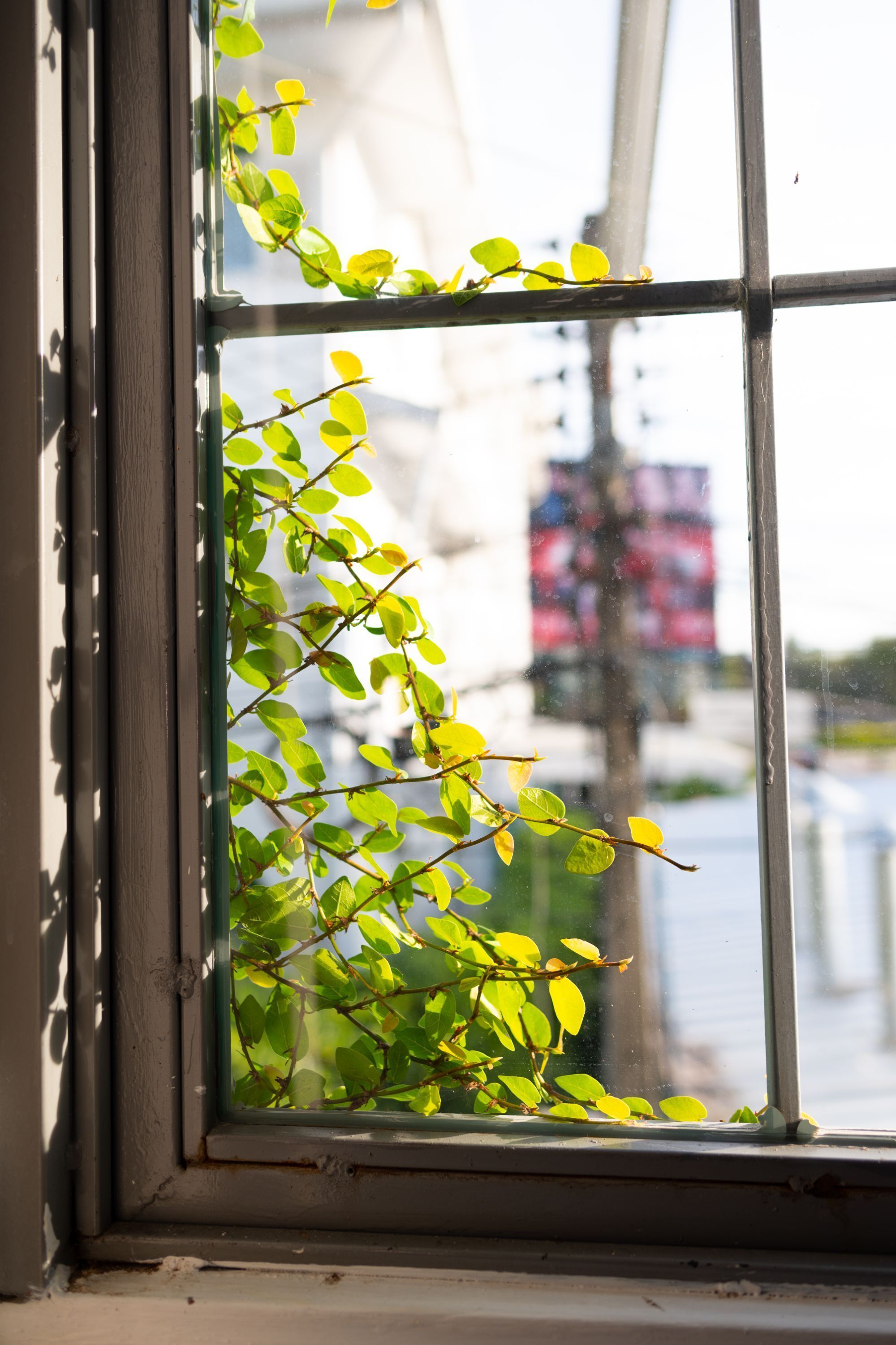 double room, city view | view from room