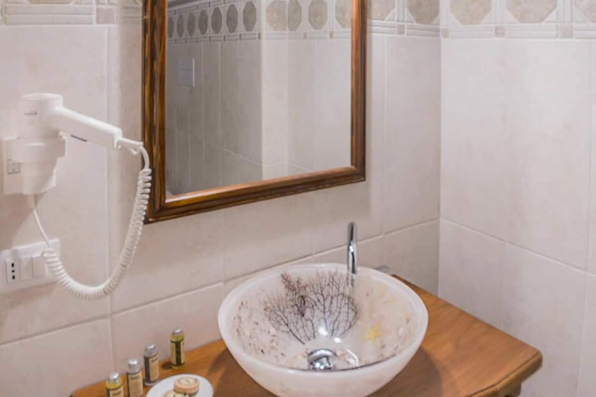 shower, free toiletries, hair dryer, bidet