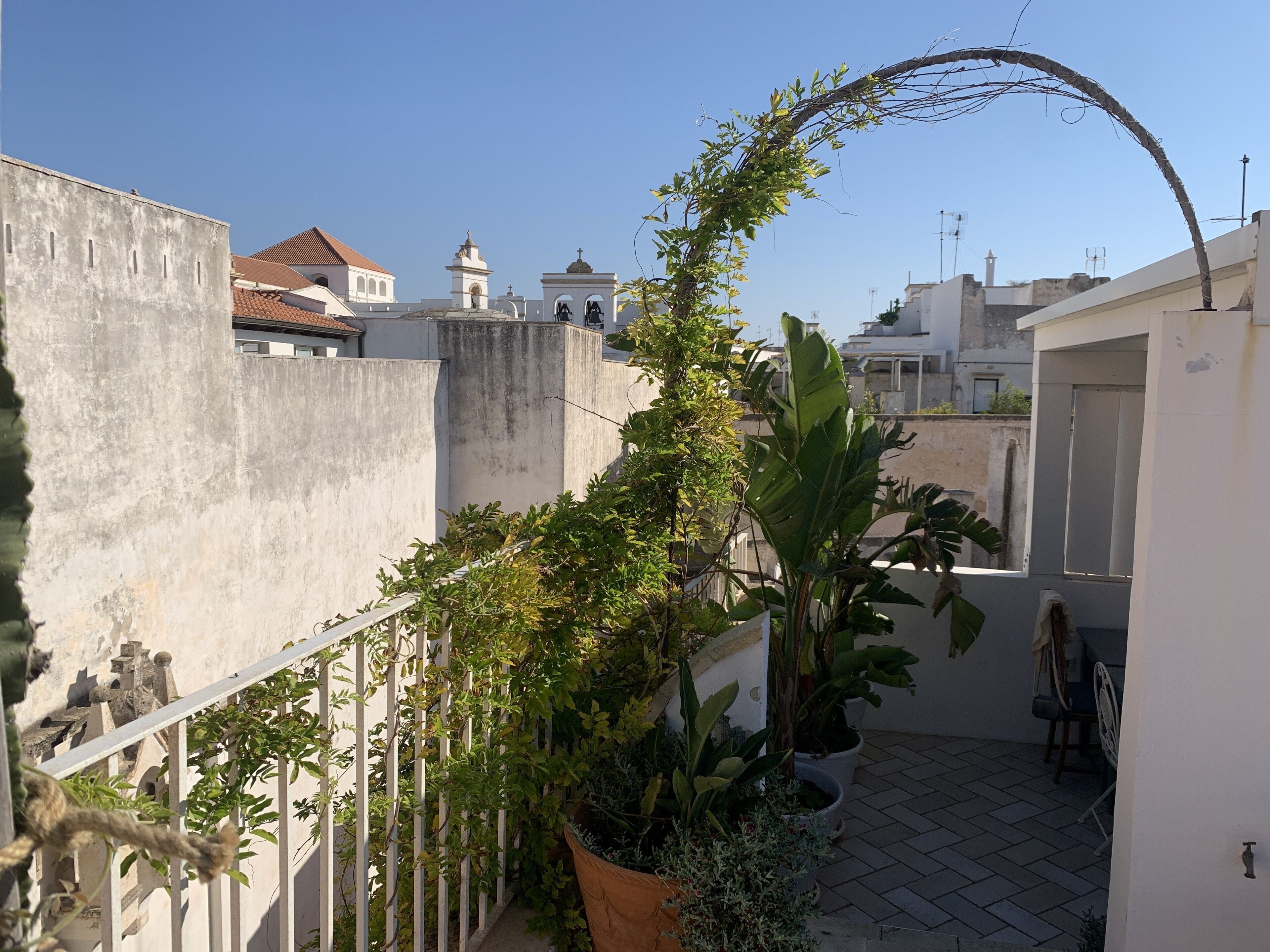 A rooftop garden with potted plants and a curved metal railing.