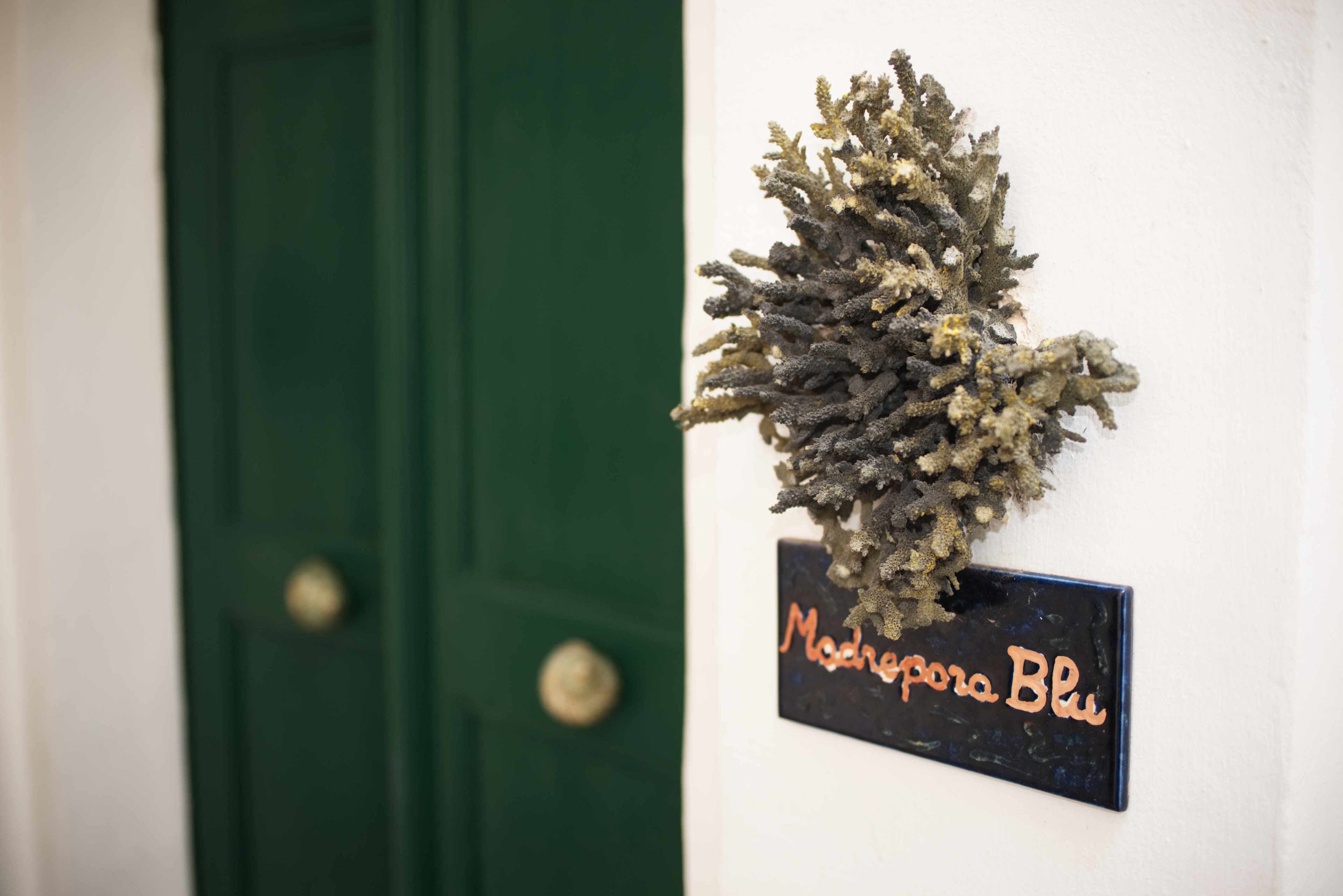 Een bord aan de muur met de tekst 'Madrigosa Blu' en een decoratief koraal.