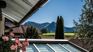 A skylight with a mountain view, a red-tiled roof, and a tall, narrow tree.