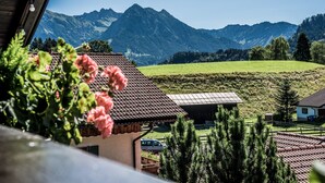 A mountain view from a building with a tiled roof, a green field, and a clear sky.