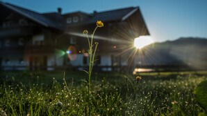 Une maison baignée de lumière, avec le soleil qui filtre à travers la fenêtre, de l’herbe au premier plan et des montagnes en arrière-plan.