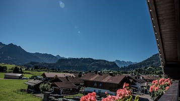 Deluxe Condo, 1 Bedroom, Sauna, Mountain View (208 | adlerHORST) | View from room