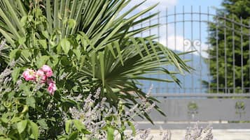 Jardin