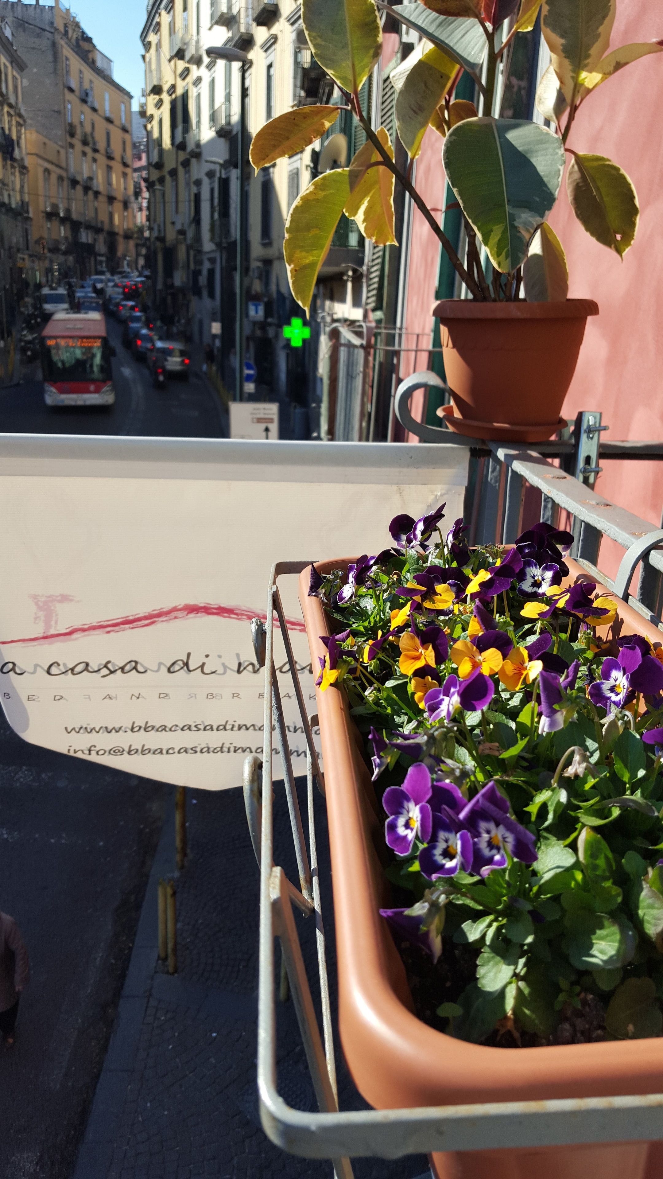 Photo - A Casa di Mamma