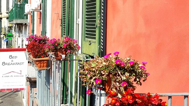 Una hilera de edificios coloridos con balcones, algunos con macetas de flores.