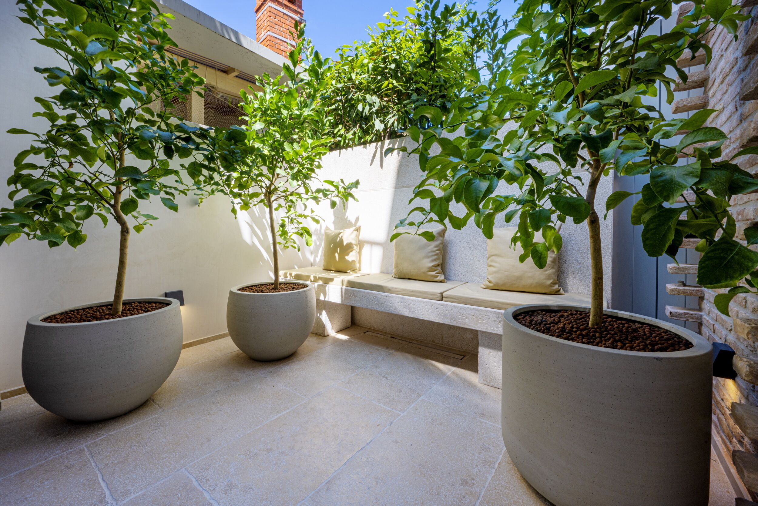 A courtyard with large potted trees, a bench, and a stone wall.