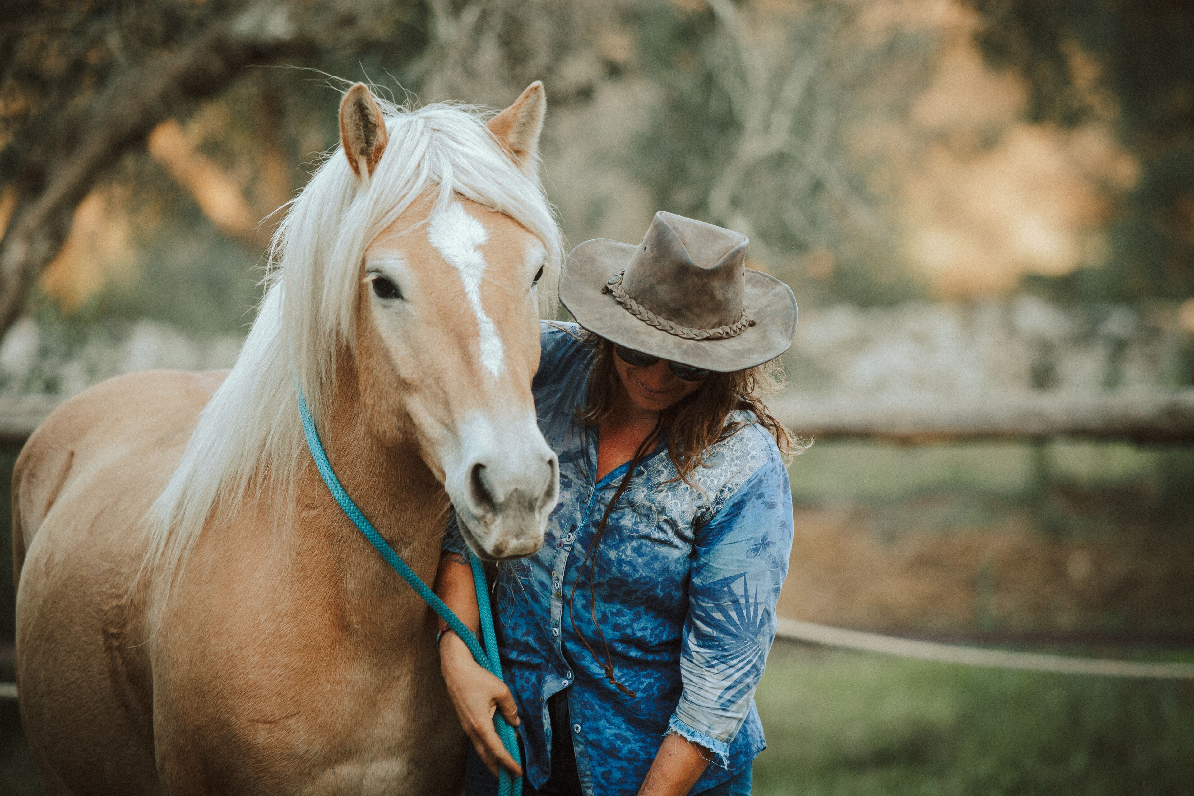 Une personne avec un cheval dans un espace clos.