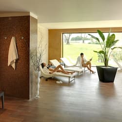 Sauna, hot tub, steam room, Turkish bath/hammam, body treatments