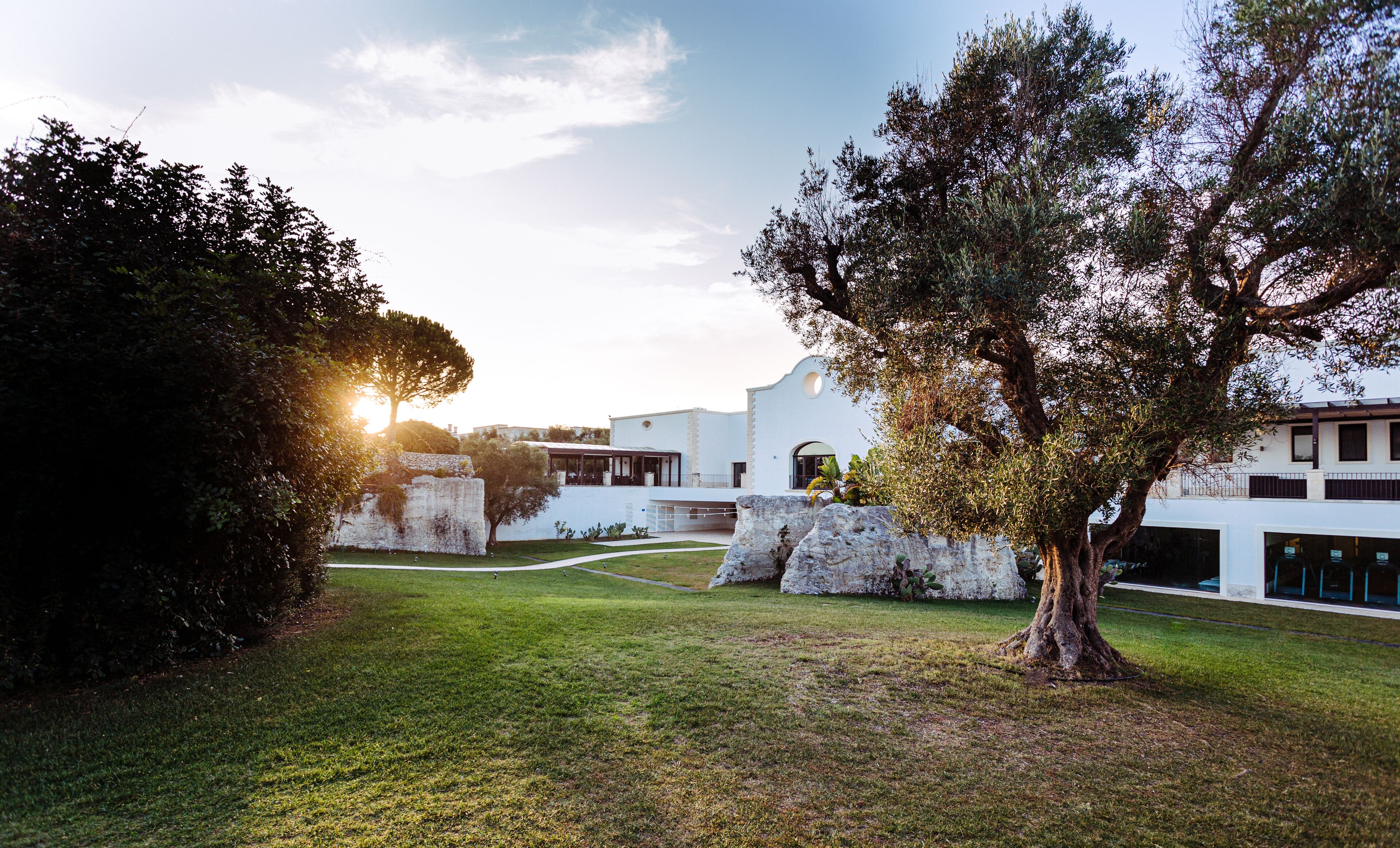 Un patio con un árbol grande, un edificio blanco con ventana circular y un muro de piedra.