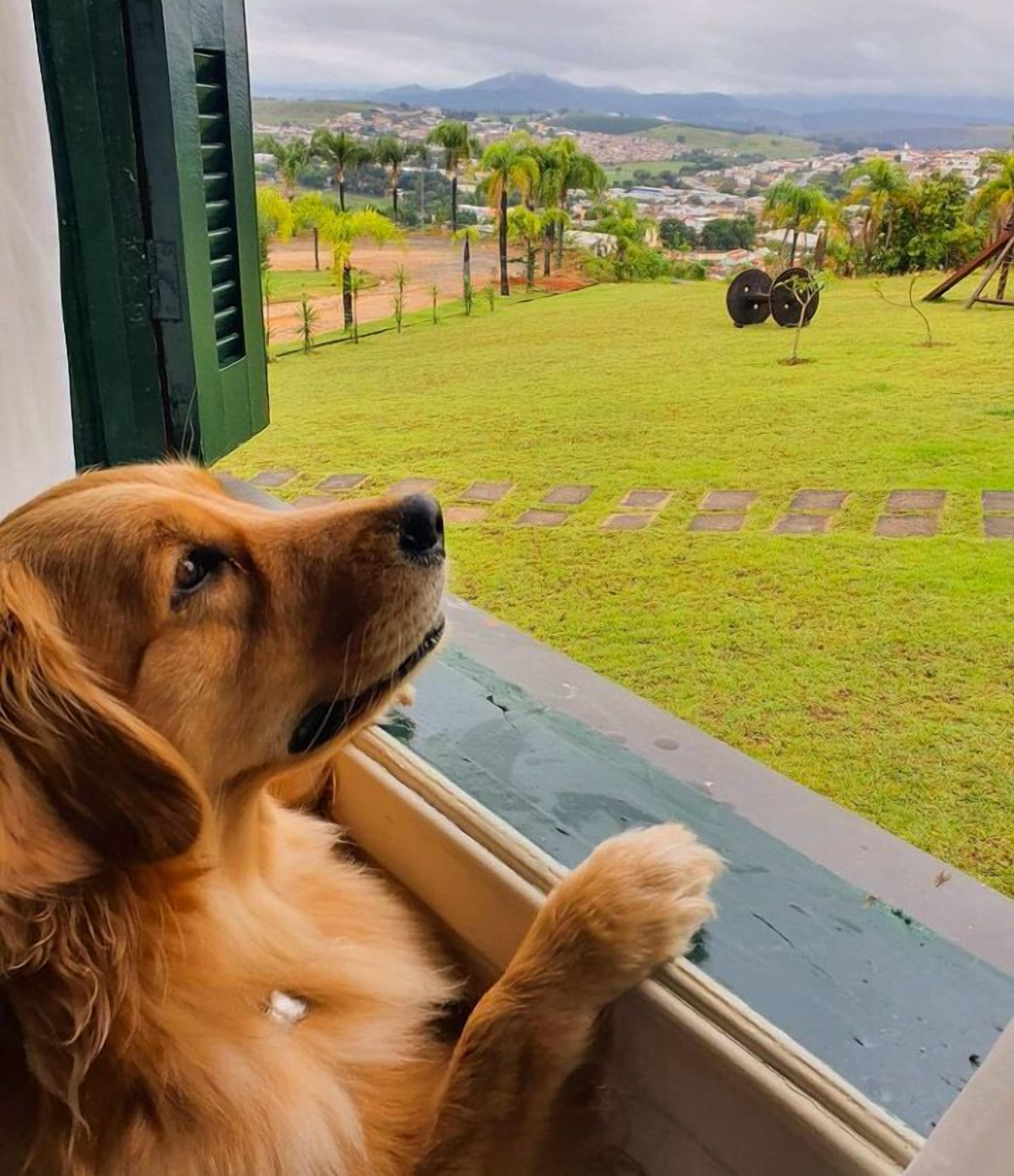 Aceita animais de estimação