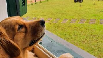 Aceita animais de estimação