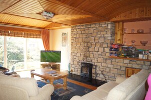 A cozy living room with a stone fireplace, a television, and a bookshelf.
