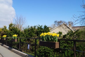 Property grounds - Ardrinane House (Annascaul)