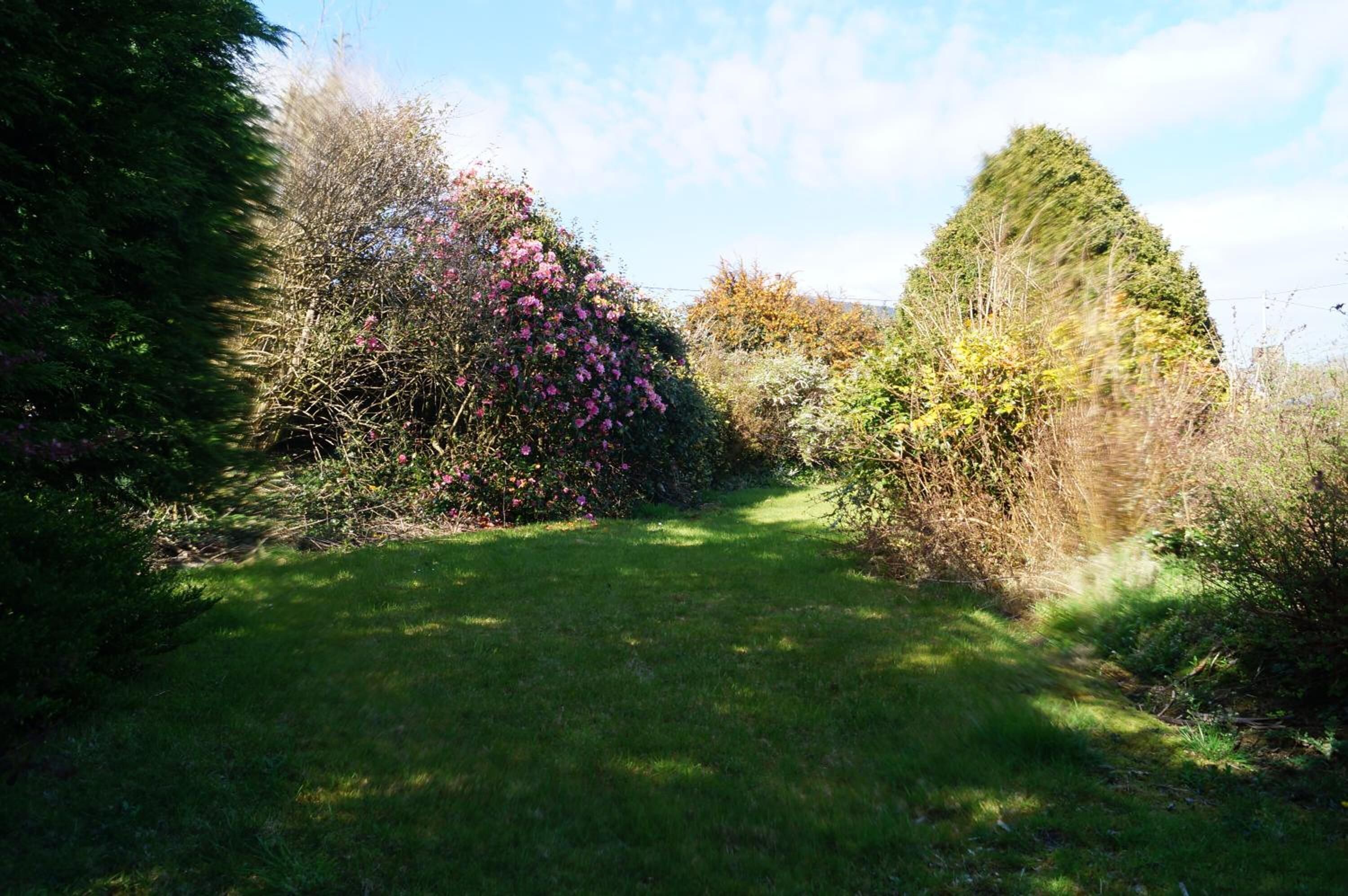 A garden path with dense shrubbery and flowering plants.