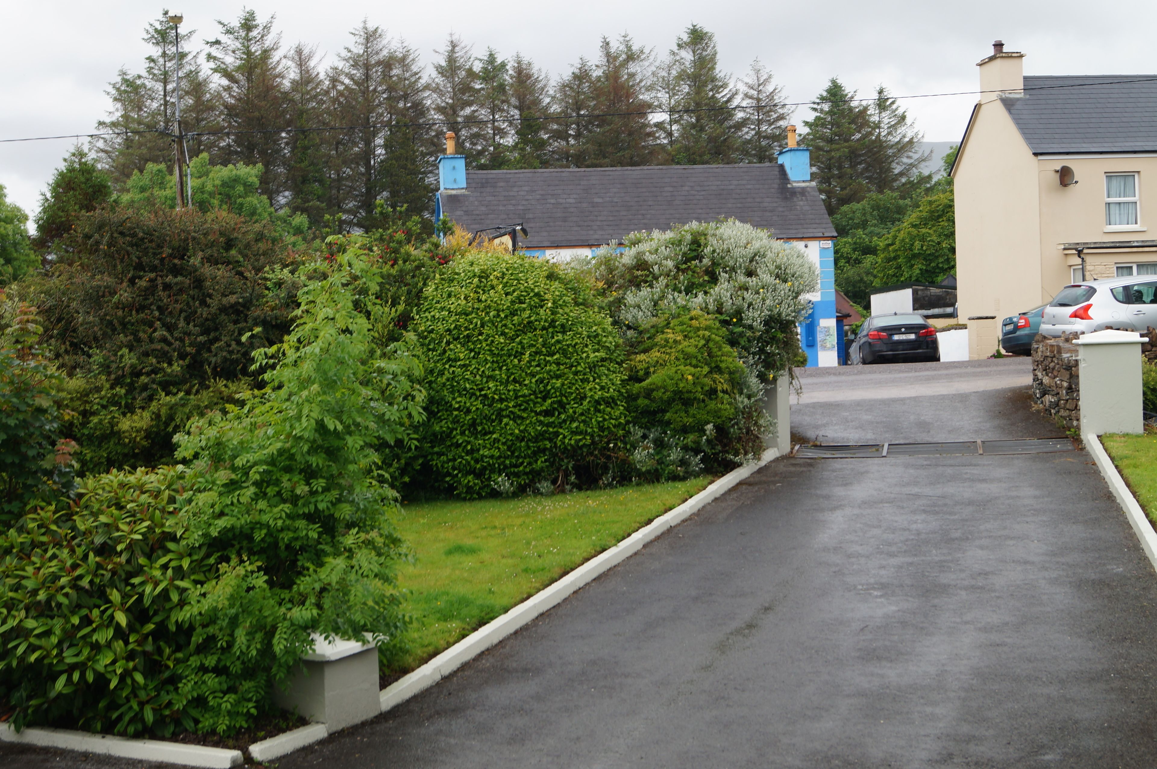 A residential driveway leading to a house with a garage, surrounded by lush greenery and parked cars.
