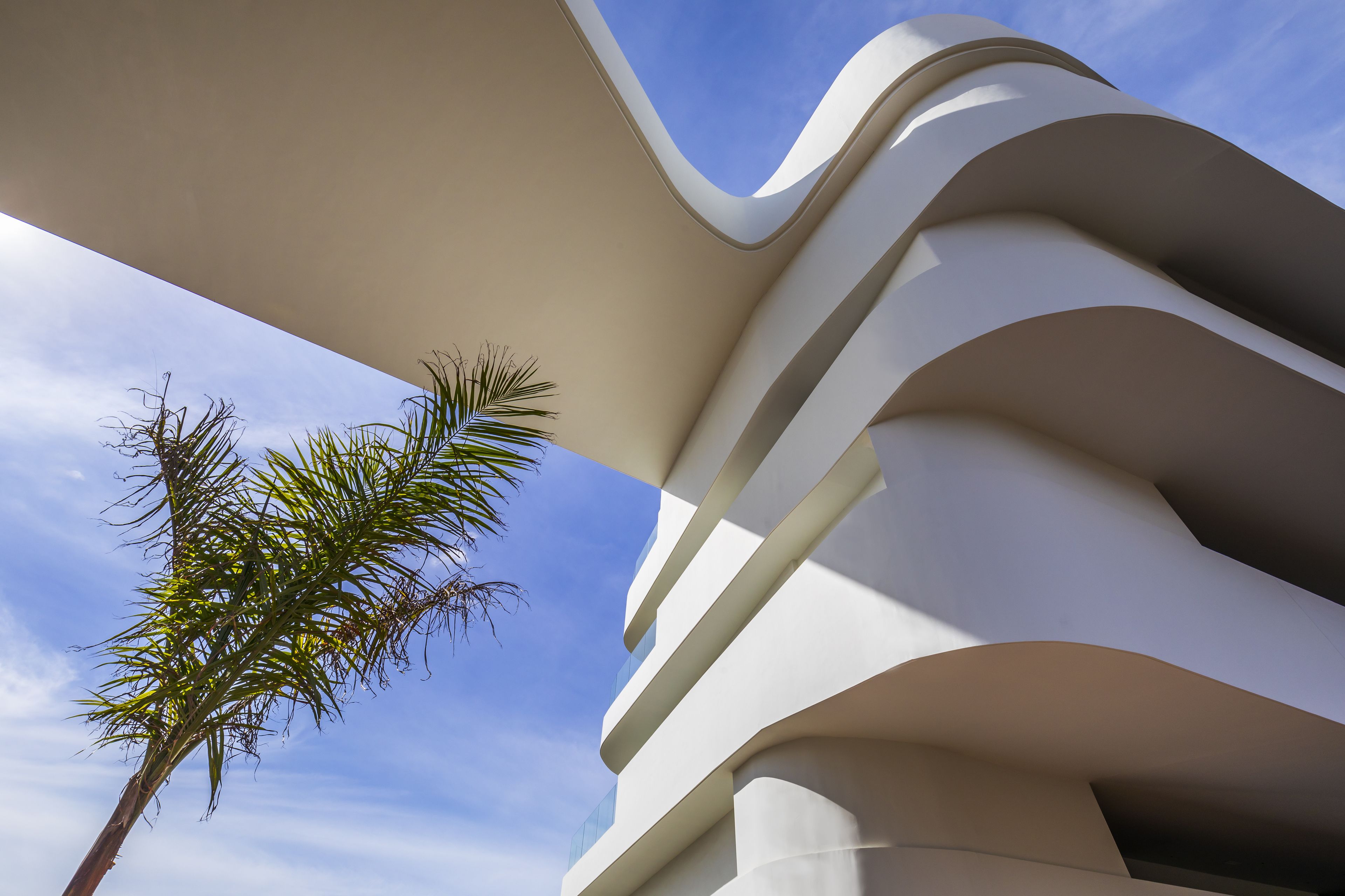 A modern building with curved architectural features and a palm tree in the foreground.