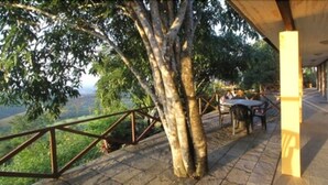 A covered outdoor area with a table and chairs, surrounded by trees and a railing.
