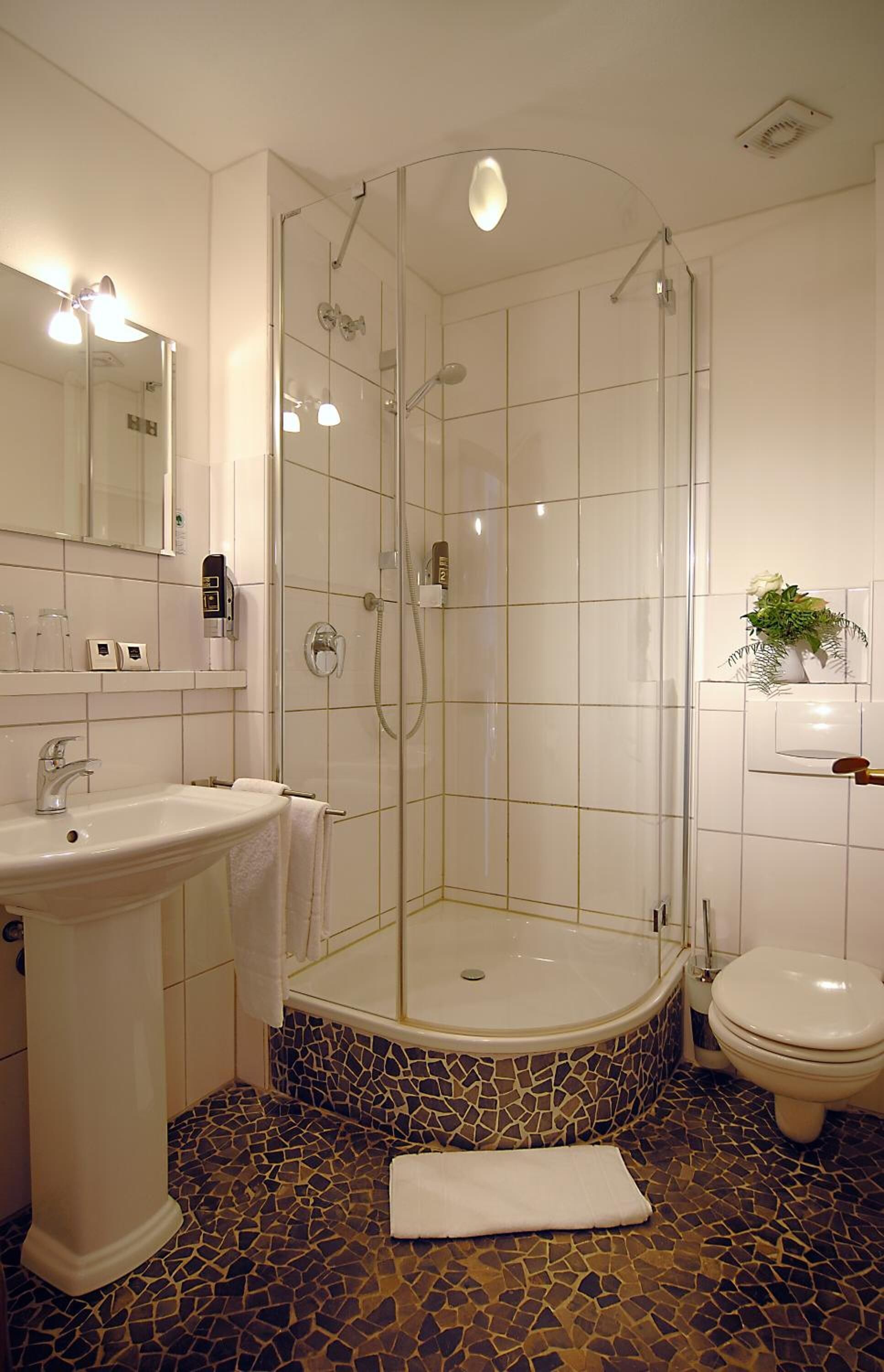 shower, free toiletries, hair dryer, towels