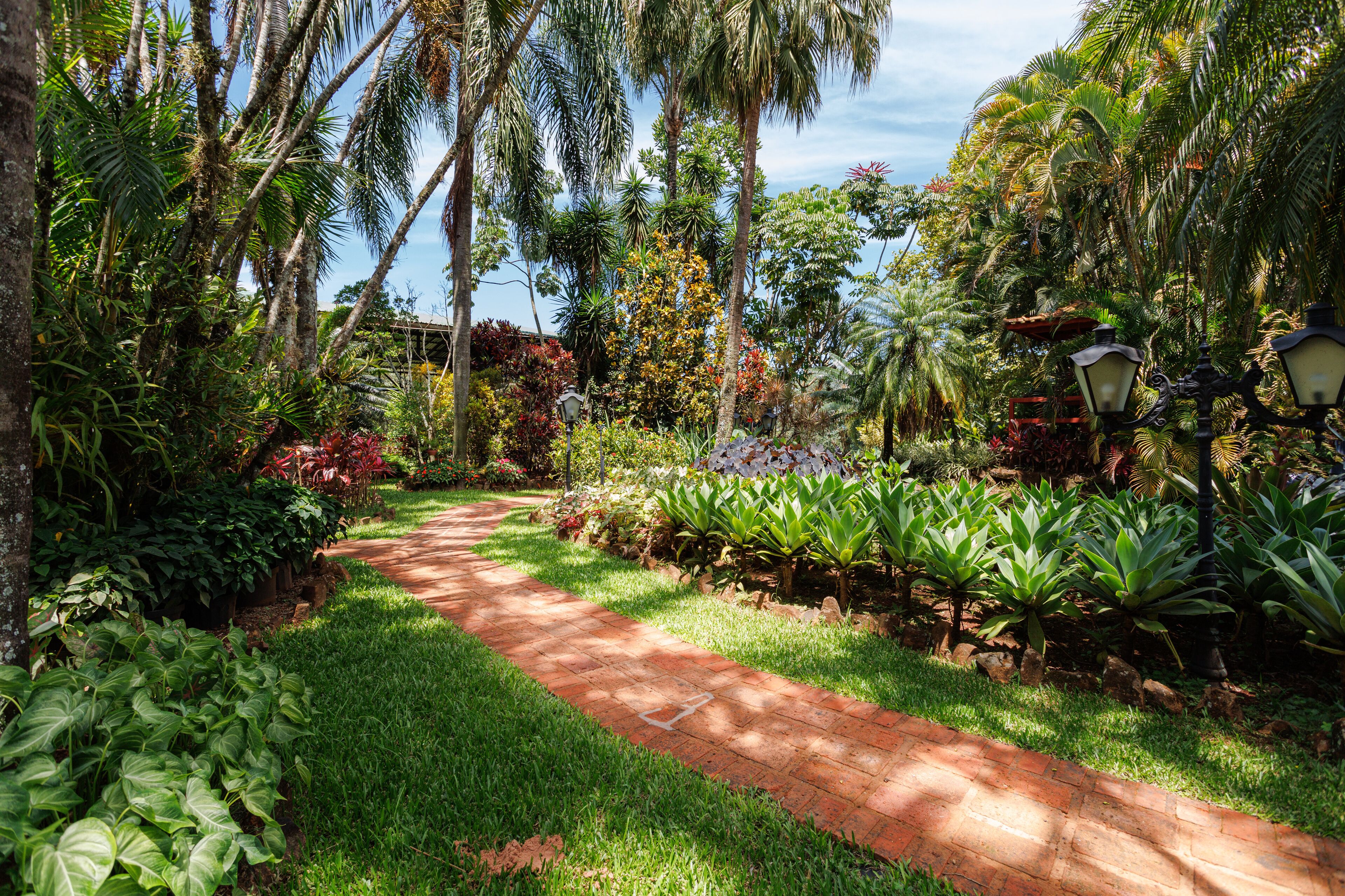 Chambre Familiale, vue jardin | Terrasse/Patio