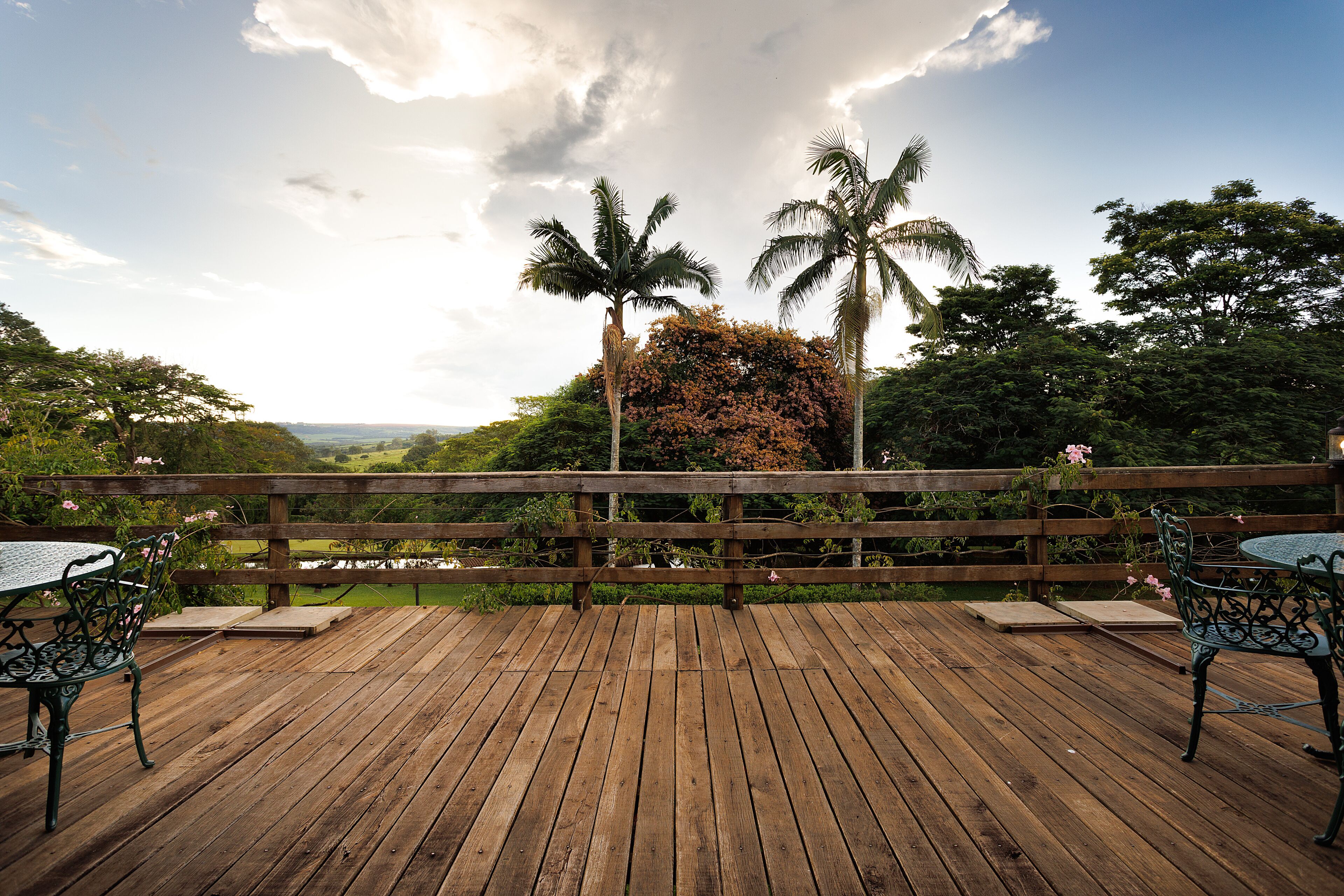 Vista da propriedade