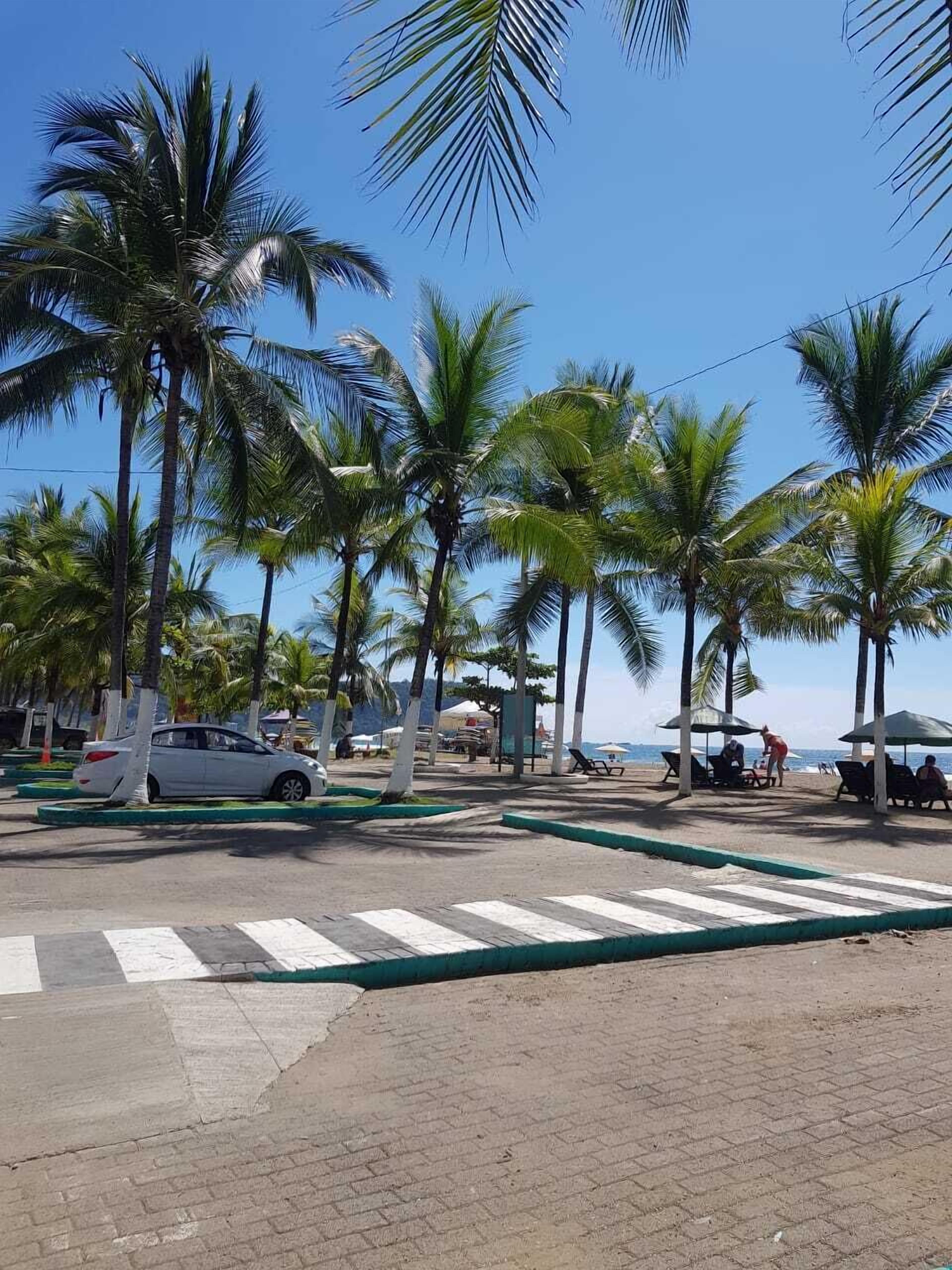 A paved pedestrian crossing with palm trees and beach umbrellas in the background.