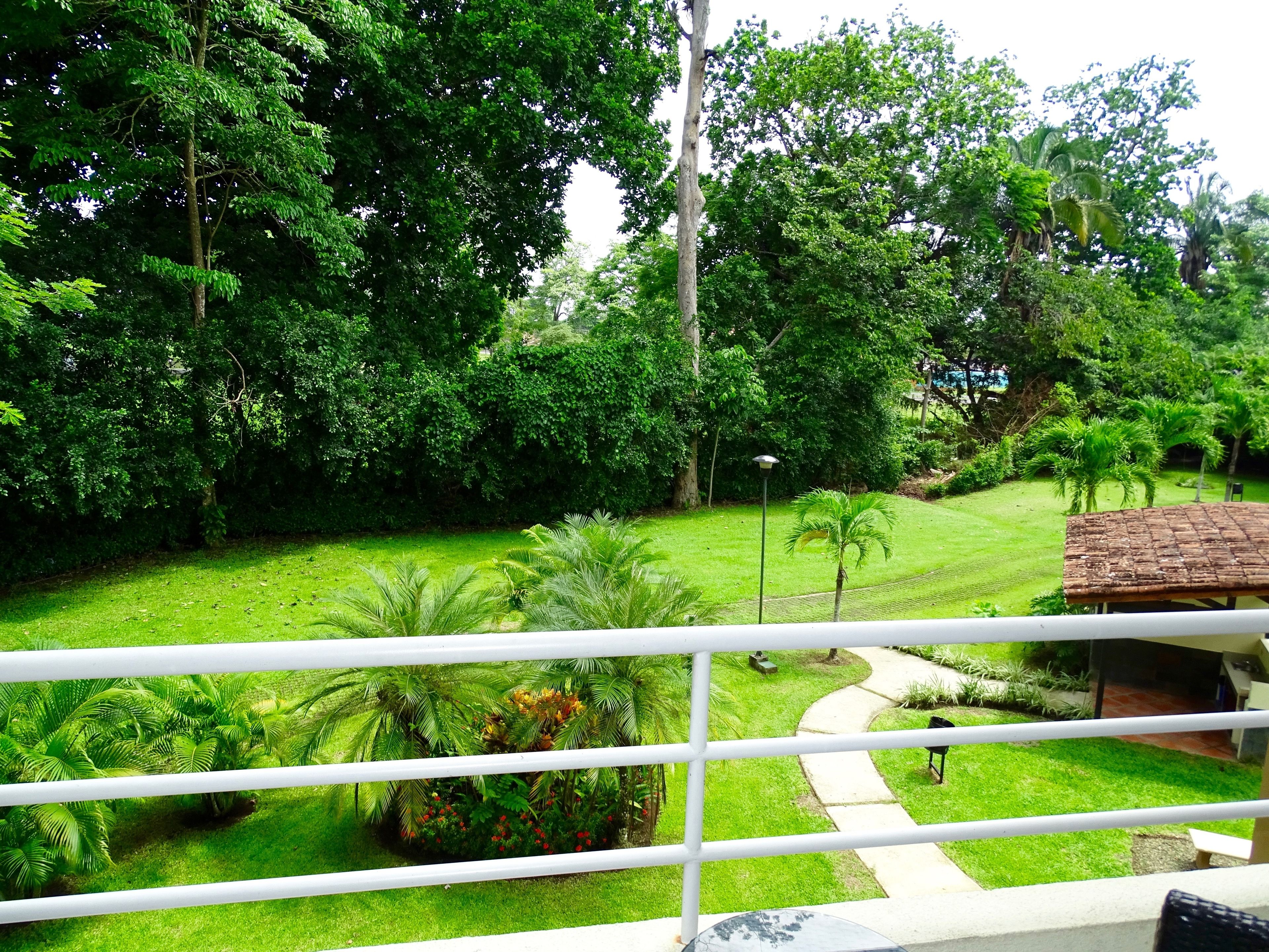 A lush garden with a pathway leading to a building.
