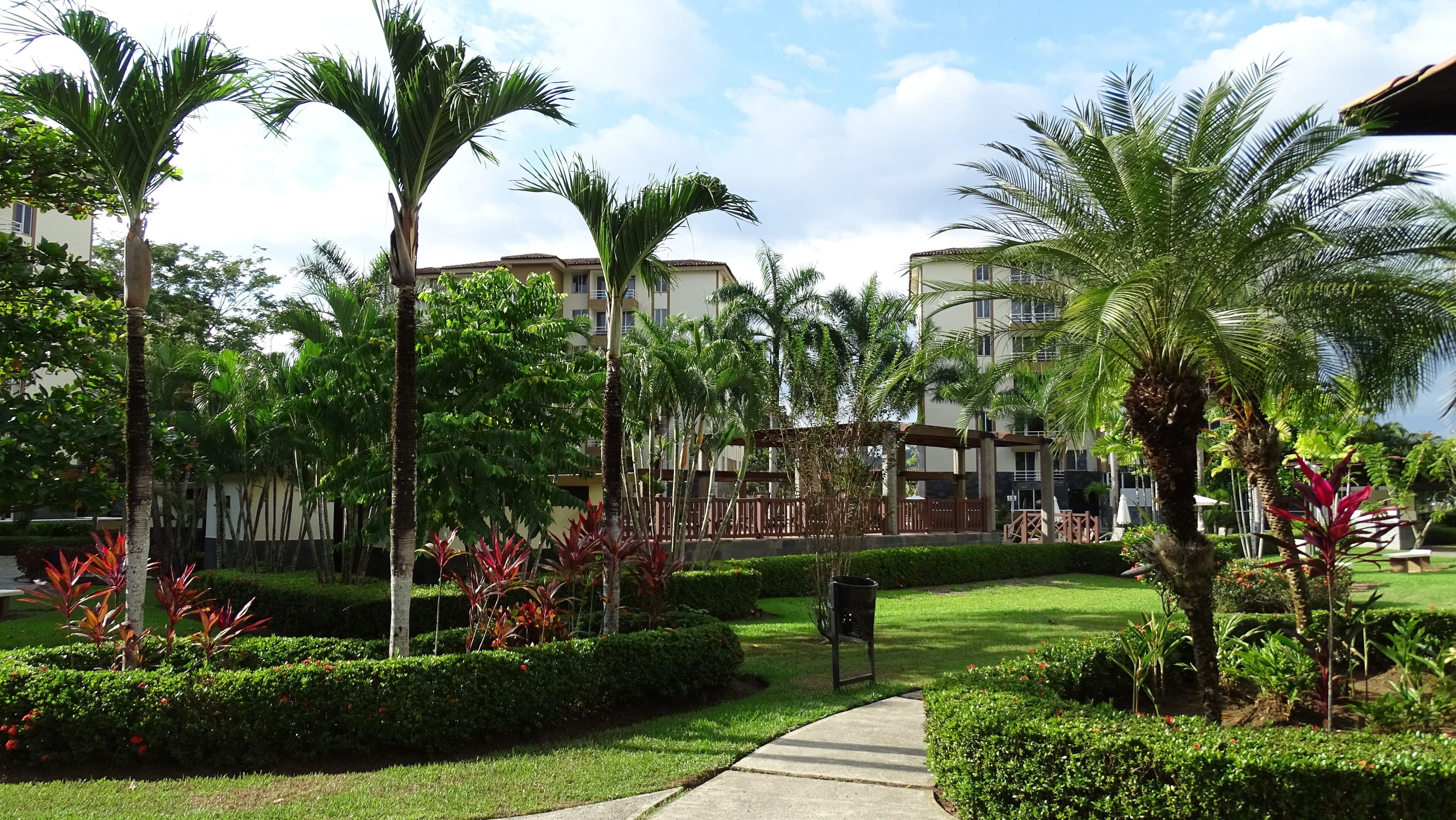 A well-maintained garden with palm trees, neatly trimmed hedges, and a pathway leading to a building with multiple windows.