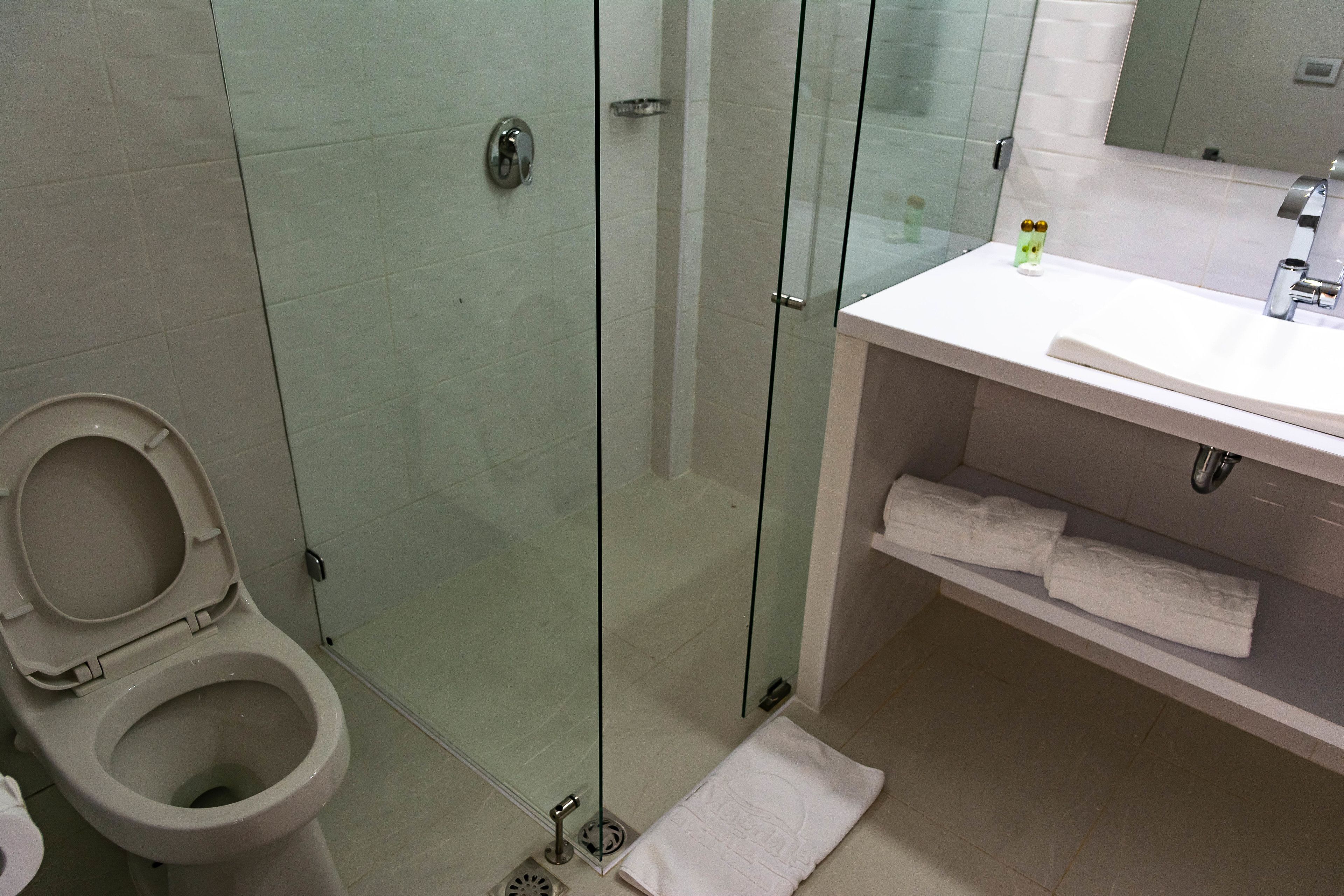 A bathroom with a glass-enclosed shower, a toilet, and a sink with a towel rack.