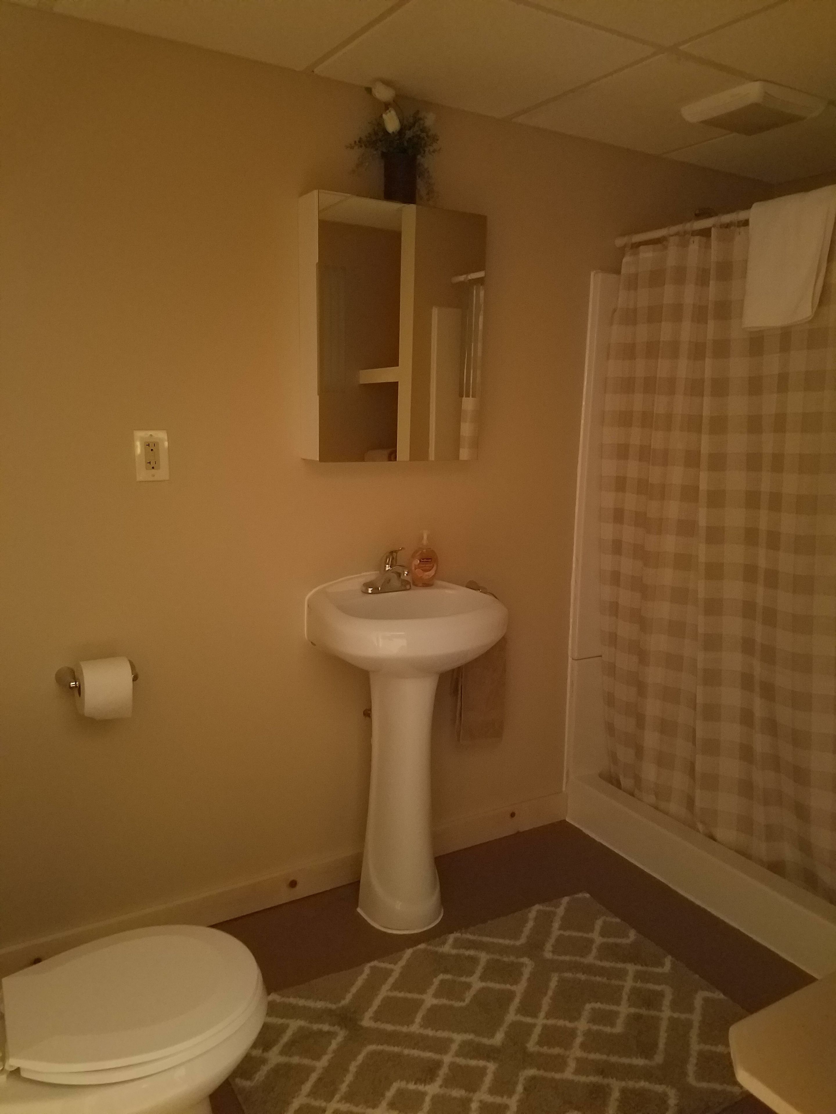 Un baño con inodoro, lavabo y cortina de ducha.